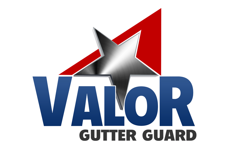 Valor Gutter Guard